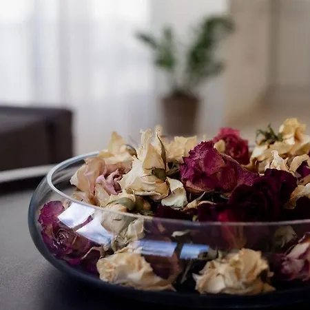 Ferien Im Paradies - Vera Apartament Höchst