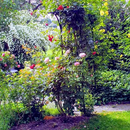 Ferien Im Paradies - Vera * Höchst