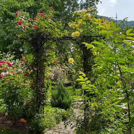 Ferien Im Paradies - Vera Apartament *